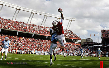 Gamecock Football 960Ã800 Gamecocks (36 ) | Adorable | | Pinterest | Gamecocks football and ... HD wallpaper